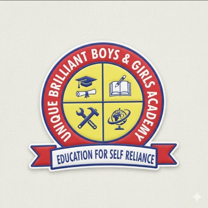 Unique Brilliant Schools